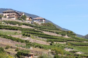 Trockenmauern