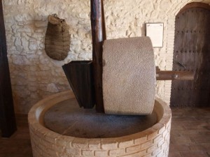 Mit Hilfe vom Steinmühlen wurden die Oliven zerquetscht