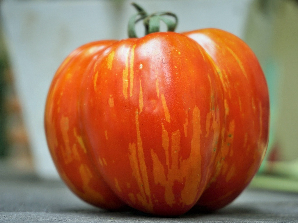 Tomate mit Charakter.