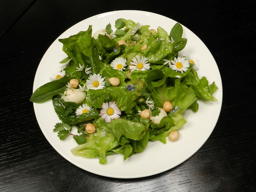 Haben fast ganzjährig Saison: Gänseblümchen.