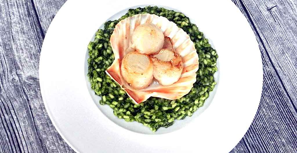 Auch optisch ein Hochgenuss: Brennnessel-Risotto mit Jakobsmuscheln.