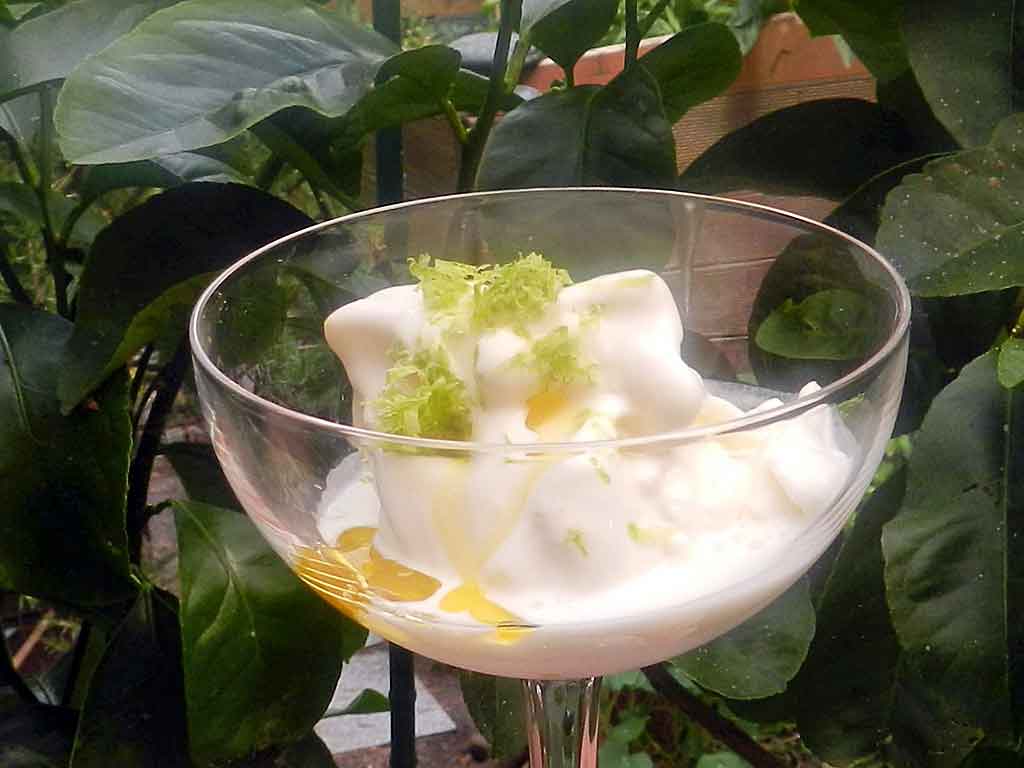 Das Zitronen-Joghurt-Sorbet erfrischt.