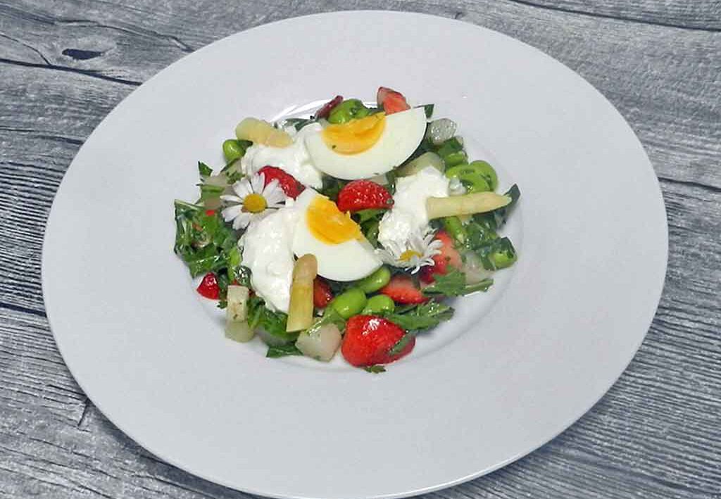 Mischsalat: dicke Bohnen, Spargel, Erdbeeren, STracciatella
