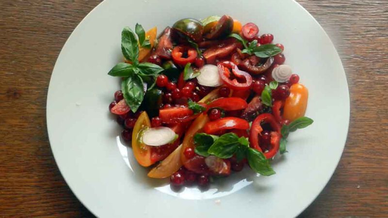Bunter Tomaten-Salat mit ein paar Extras.