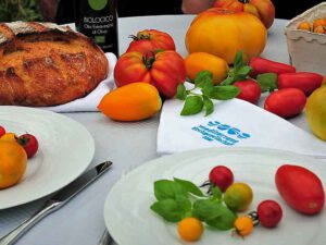 Der neue Newsletter der mediterranen Kochgesellschaft beschäftigt sich mit Tomaten.