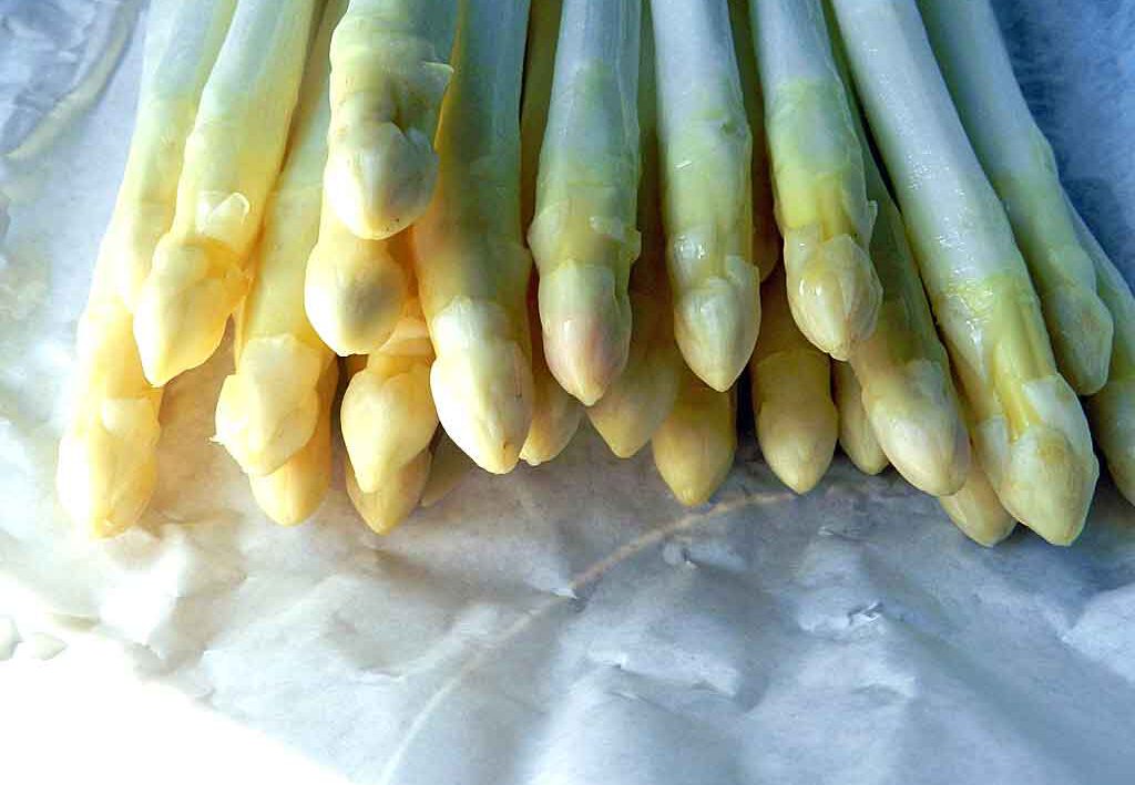 ls Schwetzinger Verein bleiben wir dem Thma Spargel auch in der Mai-Ausgabe unseres Newsletters treu.