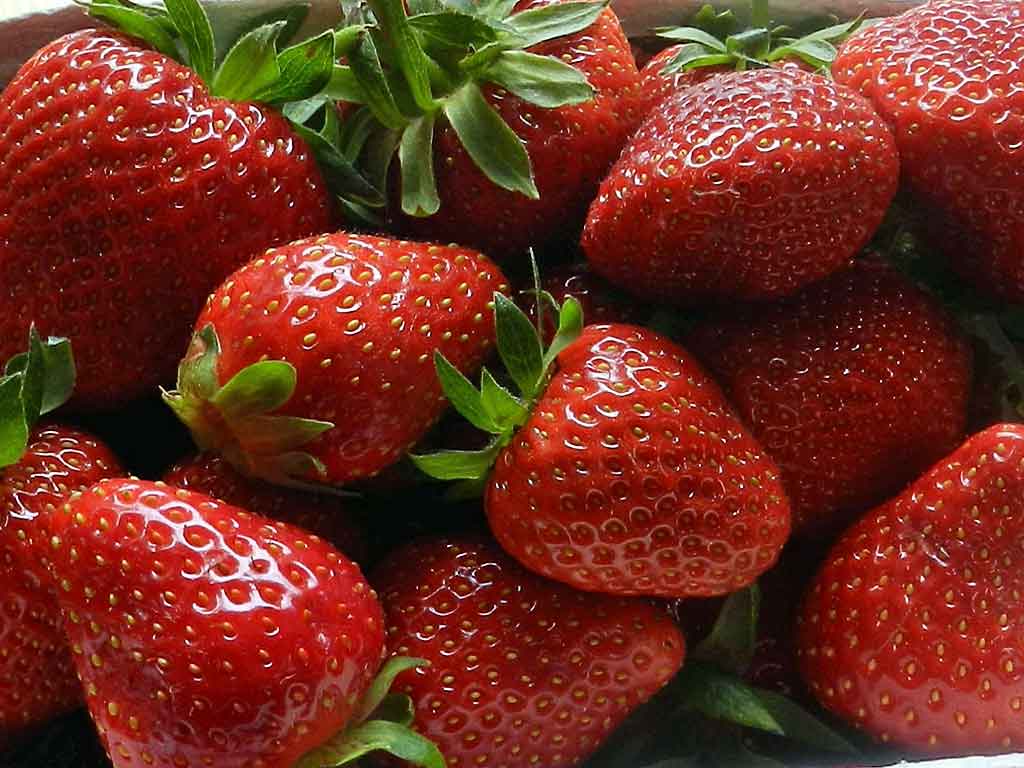 Erdbeeren sind der mediterranen Kochgesellschaft eine große Freude.